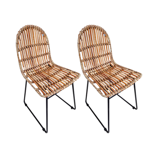 Padmini Dining Chair Set