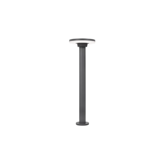 Pruitt 1 Light LED Pathway Light