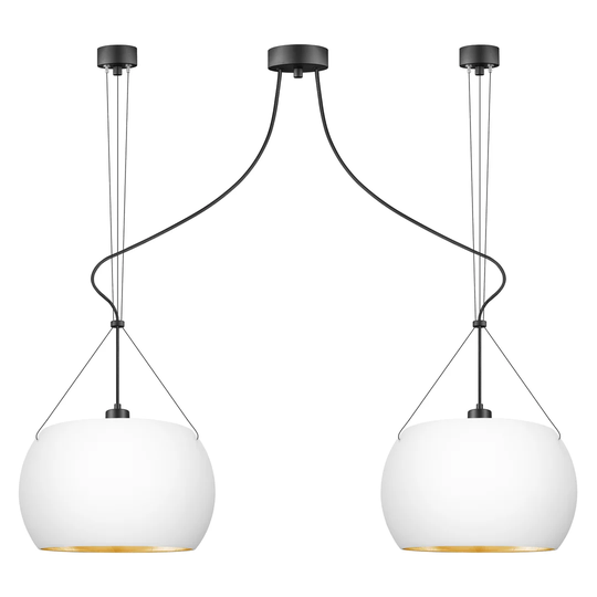 Momo 2 -Light Globe Pendant with Wrought Iron Accents