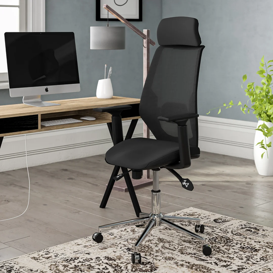 Abbotsfield Ergonomic Mesh Desk Chair