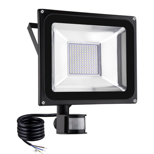 Alessandrina Flood Light