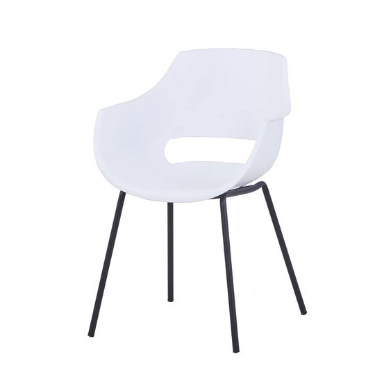 Mendota Dining Chair