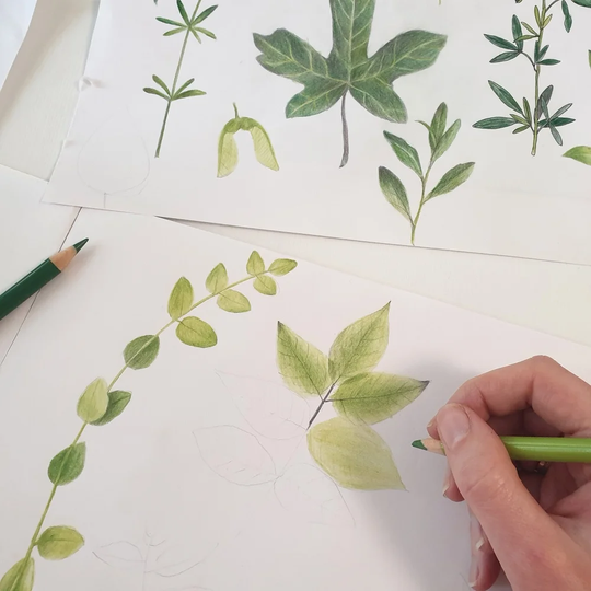 Herbarium Pillow