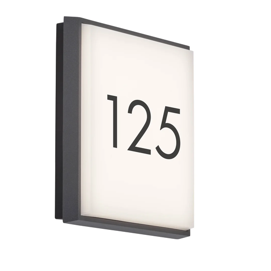 Letan LED Outdoor Wall Light