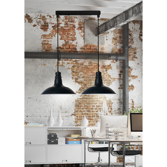 Consuela 2-Light Cone Bell Pendant