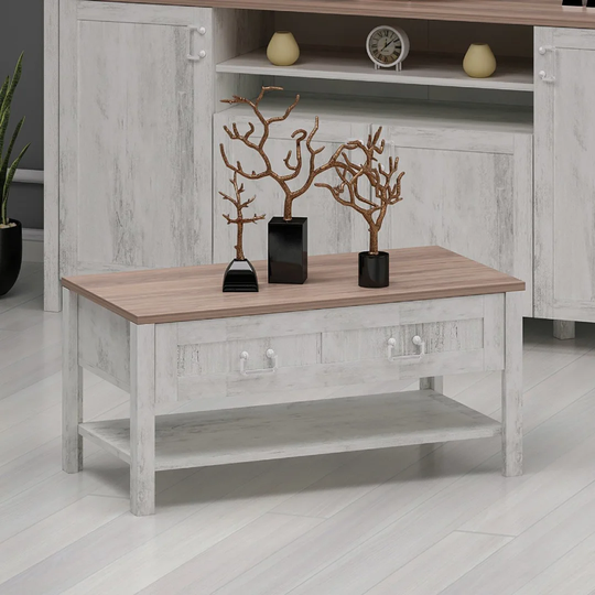 Janine Coffee Table with Storage