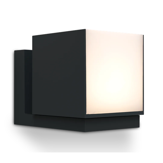 Matte Black Integrated LED Frosted Glass Outdoor Armed Scone