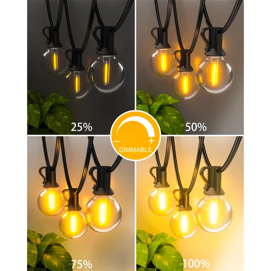 Alleigh 18.3M 33 - Bulb Festoon Lights String Light (End to End Connectable)