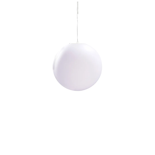 Evandale 1 Light Outdoor Pendant