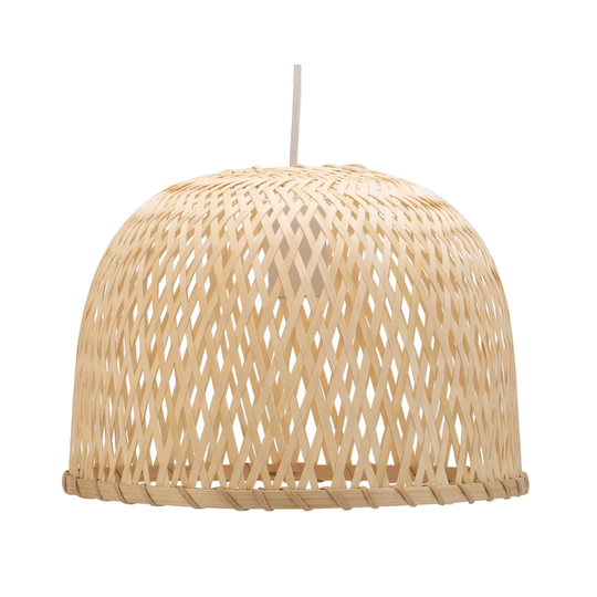 Adamczyk 1 - Light Dome Pendant with Metal Accents