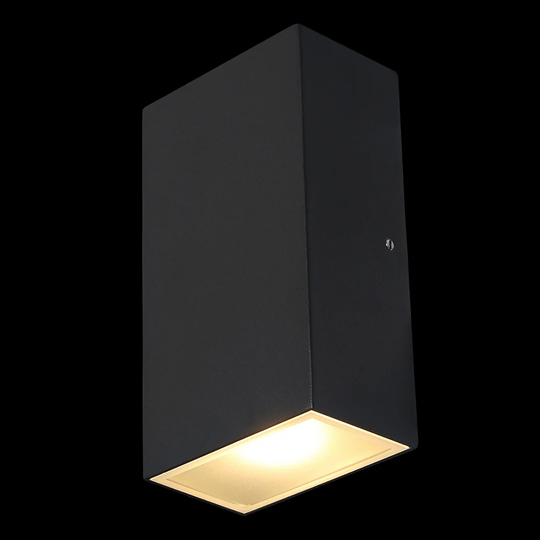 Skoog 2 Light Outdoor Flush Mount