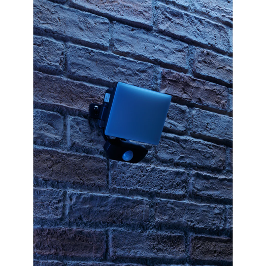 Richvale LED Flood Light with Pir