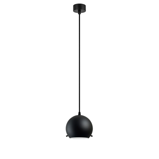 Myoo 1 -Light Globe Pendant with Wrought Iron Accents