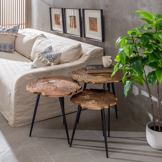 Aleeza 3 Piece Coffee Table Set