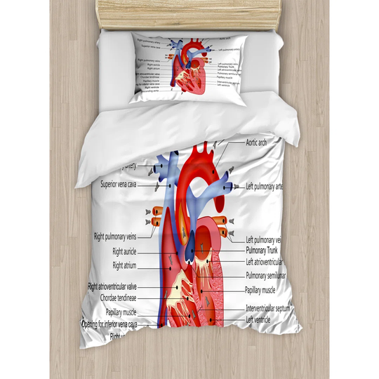 Northpoint 260 TC Duvet Cover Set