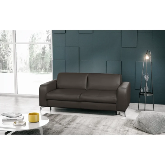 Kitt Genuine Leather 2 Seater Fold Out Sofa
