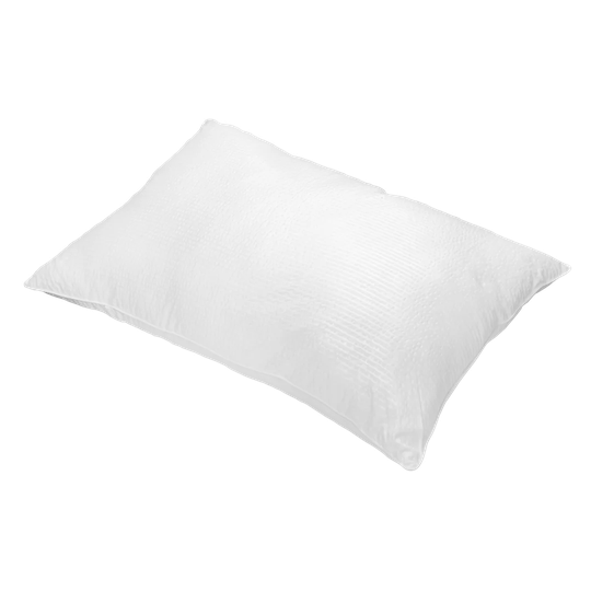 100% Cotton Zip Pillow Protector