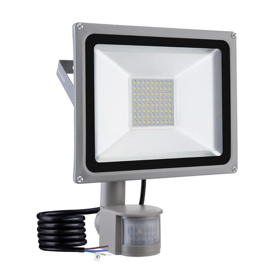 Alieshia Flood Light