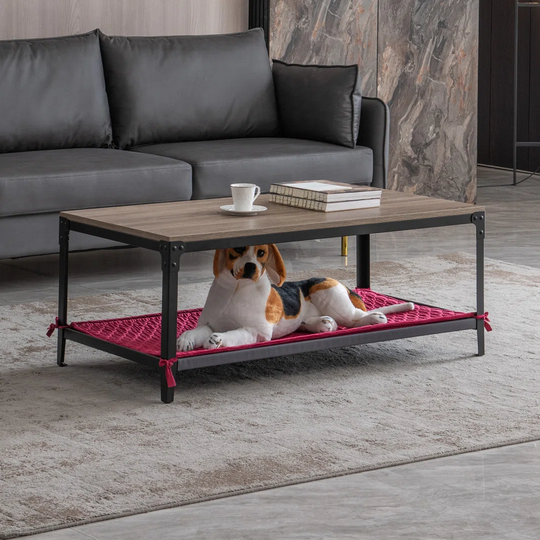 Seguin Coffee Table with Storage