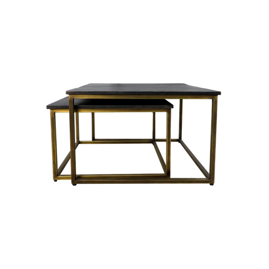 Marleigh 2 Piece Coffee Table Set