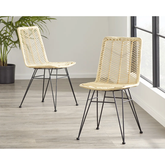 Pax Dining Chair