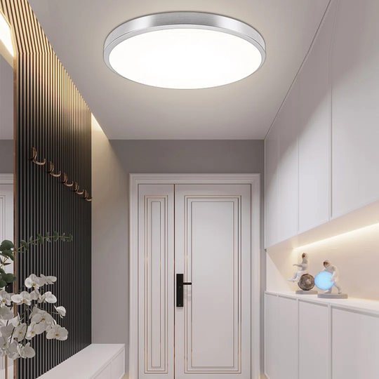 50CM Round Minimalism Silver Ceiling Light With Remote Control