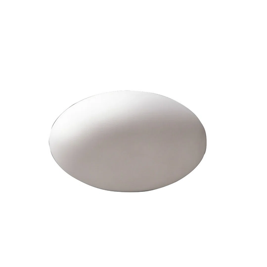 Evandale 1 Light Decorative and Accent Light