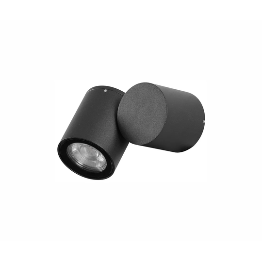Suellen Wall Spot Light