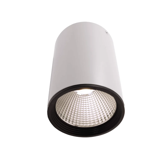 Luna 1-Light LED Flush Mount
