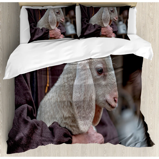 Adreonna Duvet Cover Set