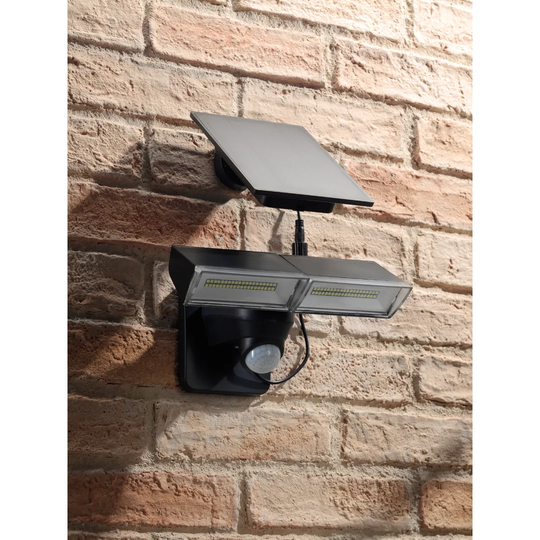 Roethke Flood Light