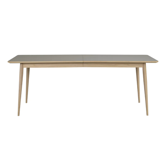 Dandre Extendable Dining Table