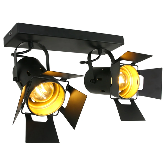 Arreguin 2 Light Ceiling Spotlight