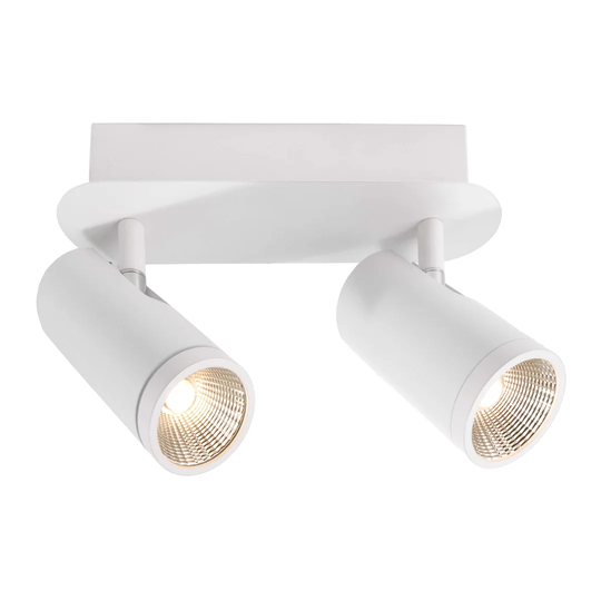 Dabih 2-Light LED Ceiling Spotlight