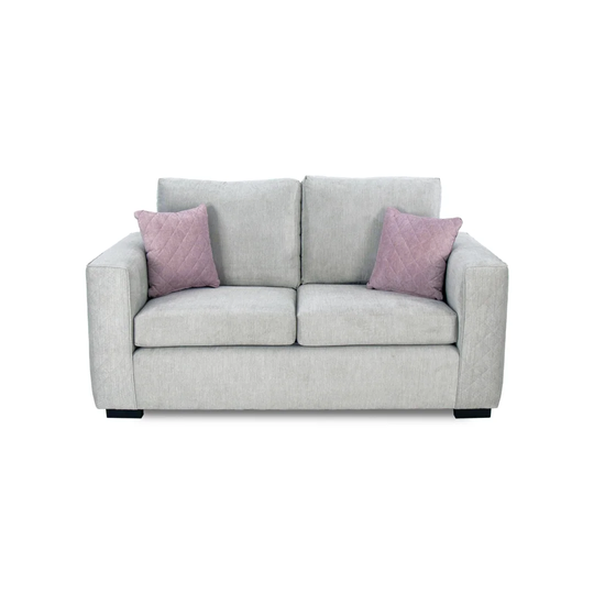 Carney 2 Seater Loveseat Sofa