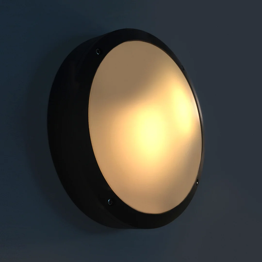 2 Light Outdoor Flush Mount