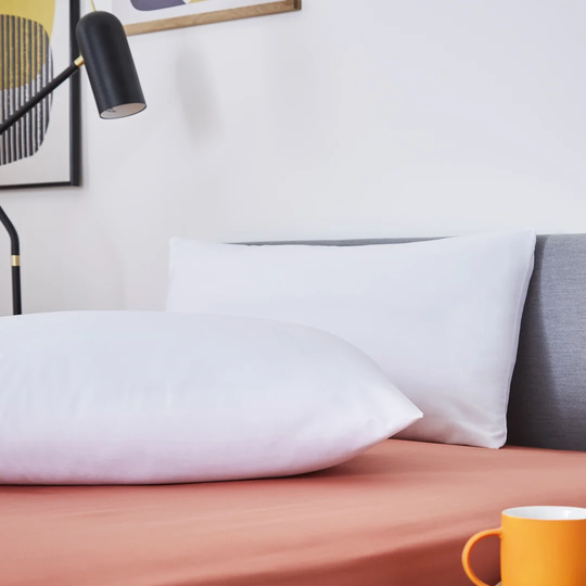 Snug Snuggle Up Pillow Pair