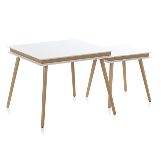 2 Piece Coffee Table Set