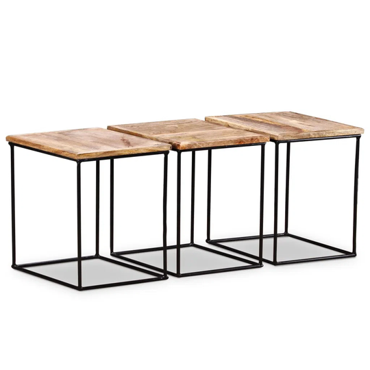 Nettie 3 Piece Coffee Table Set