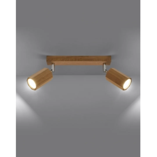 2-Light 5cm Ceiling Spotlight