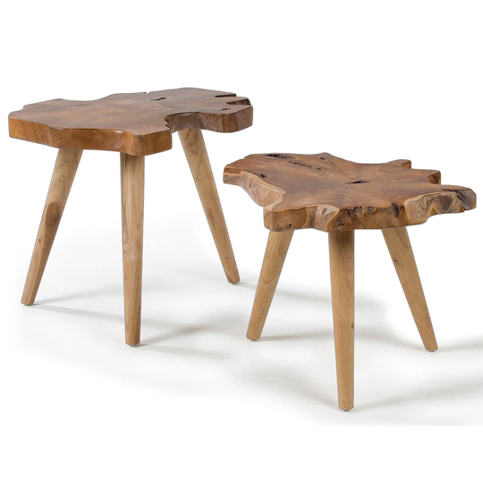 Evert 2 Piece Nest of Tables