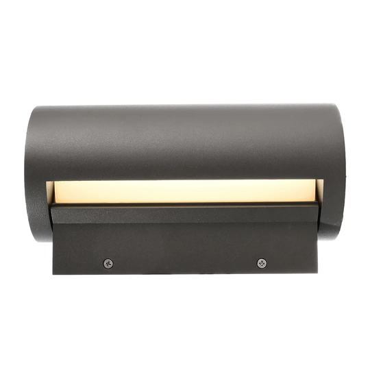 Segin LED Outdoor Sconce