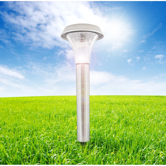 Alemany 1-Light Pathway Light