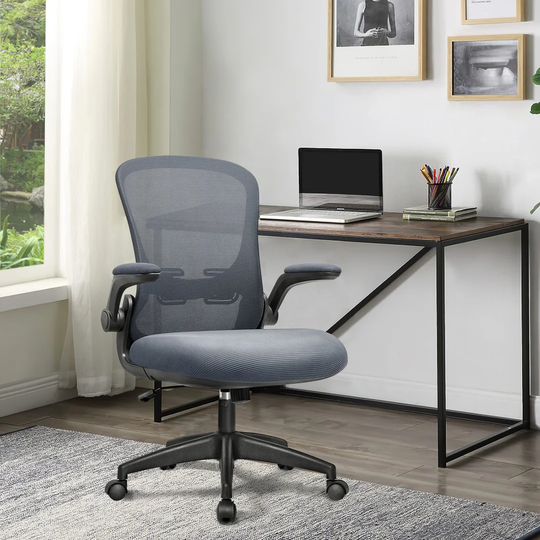 Phineus Ergonomic Mesh Desk Chair