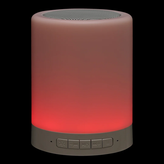 1-Light LED Decorative Light