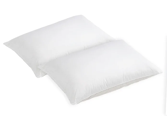 EverComfy Aloe Vera Pillow