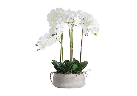 Large White Orchid Stone Pot