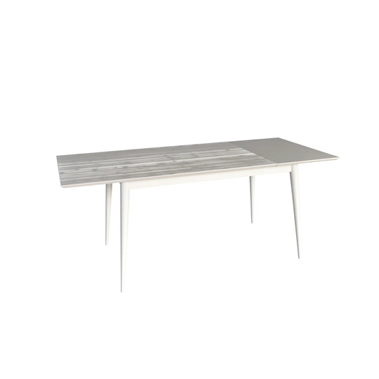 Hojkov Extendable Dining Table