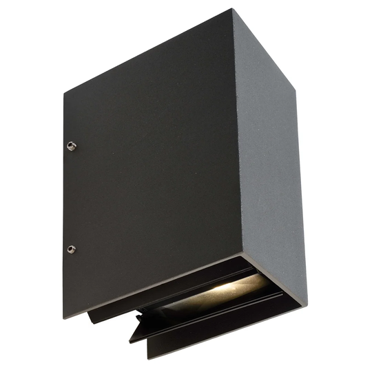 Arcturus LED Outdoor Sconce