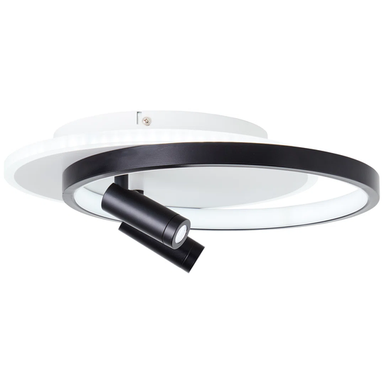 LED ceiling light 35 x 30cm 2 -light black/white